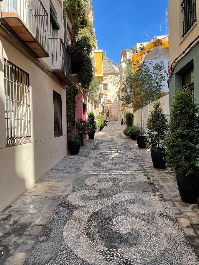 مالقة Paloma Suite Solarium Centro Historico المظهر الخارجي الصورة
